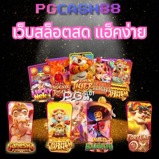 พักยกpk24